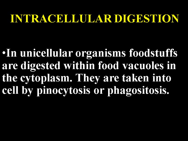 INTRACELLULAR DIGESTION  In unicellular organisms foodstuffs are digested within food vacuoles in the